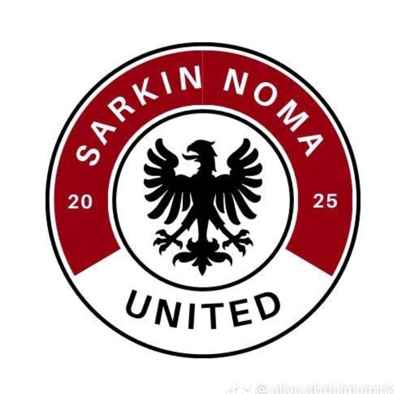 Sarkin Noma FC logo