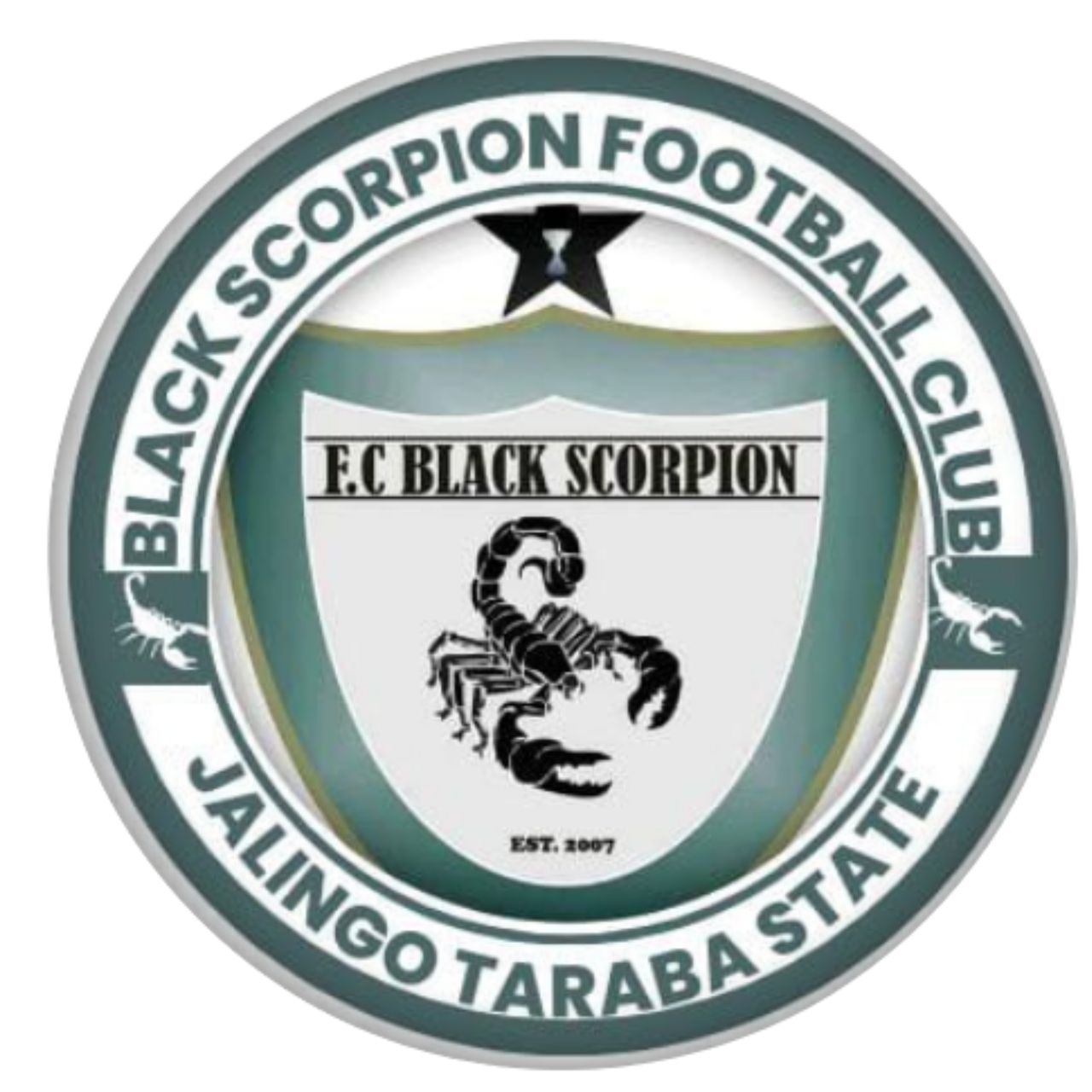 Black Scorpion FC logo